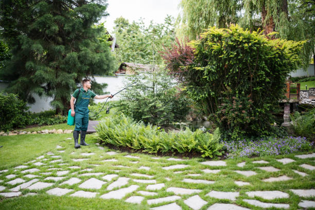 Tree and Shrub Care in Mazomanie, WI