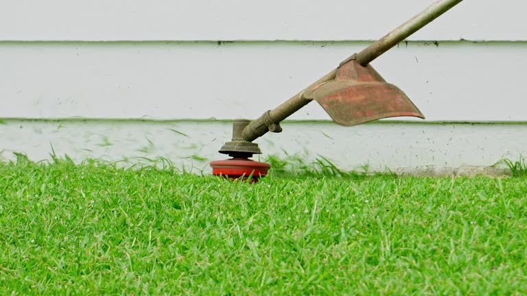 Best Arborist Consultation Services  in Mazomanie, WI